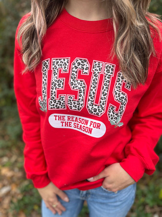 Jesus Is The Reason Sweatshirt