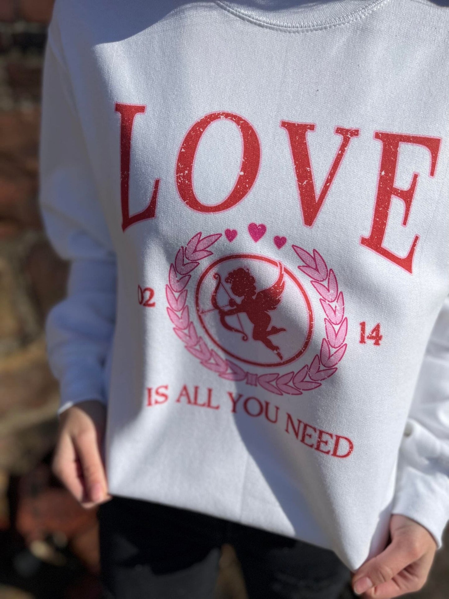 Love Is All You Need Sweatshirt-ask apparel wholesale