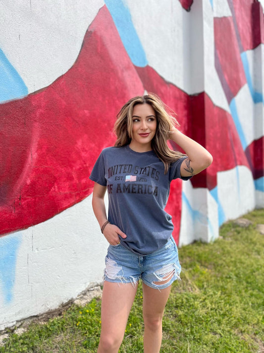 United States of America Tee ask apparel wholesale 